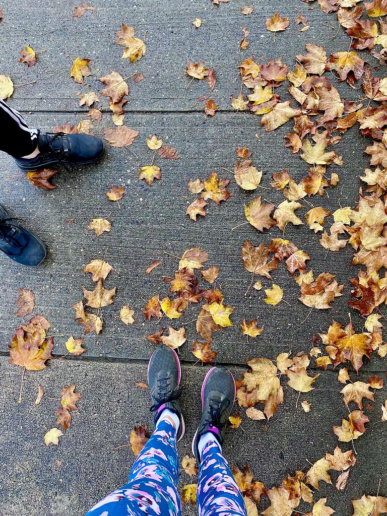 Dry fall leaves on a sidewalk in Kelowna