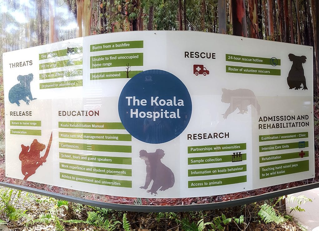 Koala hospital information guide