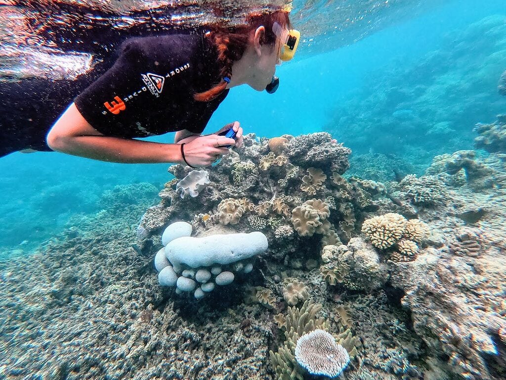 Snorkeling the Great Barrier Reef in Queensland, Australia while wearing eco-friendly sunscreen