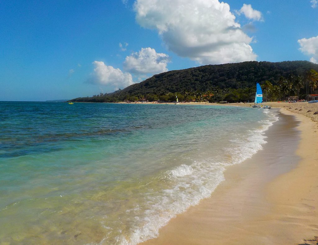 Beach view in Cuba with a windsurfer