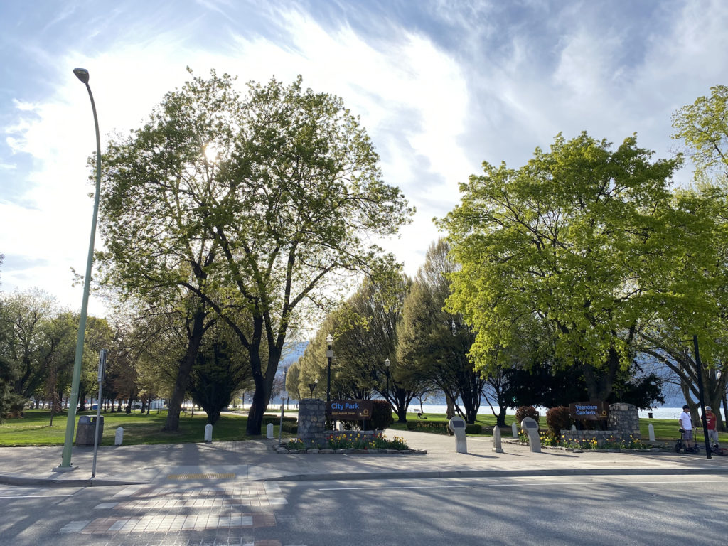 View of City Park from Water Street