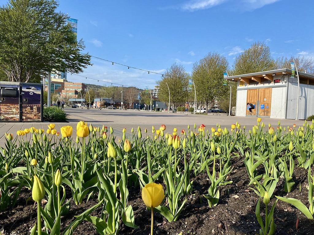 Skateboarders in Stuart Park -things to do in Kelowna