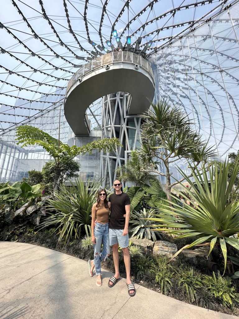 The Leaf at Assiniboine Park